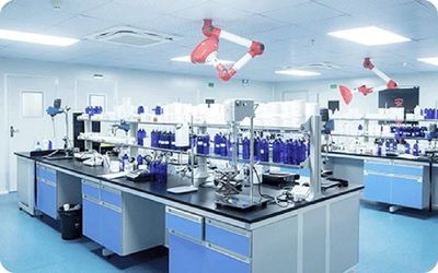 الصين Luox Hebei Synda International Trade Co.,Ltd ملف الشركة